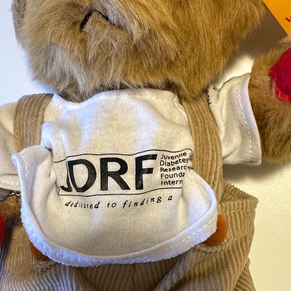 Rufus - The Bear with Diabetes - Picture 2 of 9